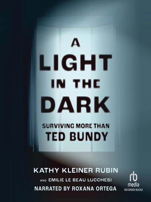 Title details for A Light in the Dark by Kathy Kleiner Rubin - Wait list